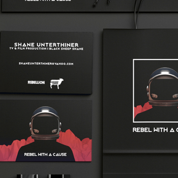 corporate, design, brainsworld, company, identity brainsworld, design, agency, adverdising, leoben, steiermark, styria, österreich, austria, green panther award, green panther gewinner